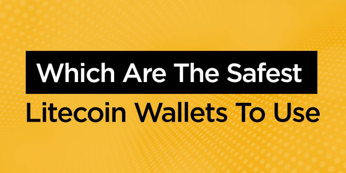                                         The Safest Litecoin Wallets to Use
                                     