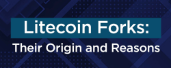                                                         Litecoin Forks: Their Origins And Reasons For Splitting Away
                                                     