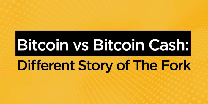                                         Bitcoin vs Bitcoin Cash: Different Story of The Fork
                                     